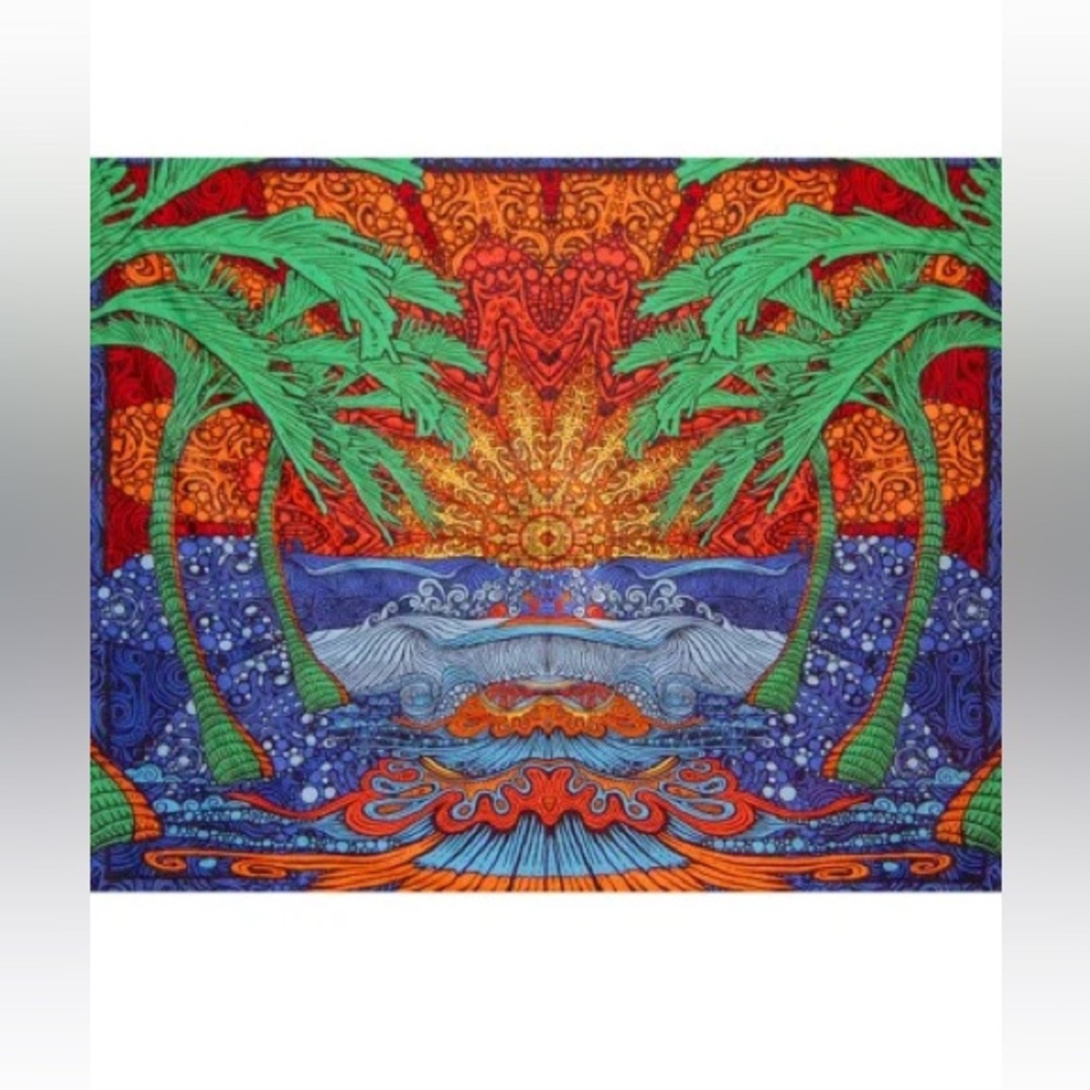 Chris Pinkerton 2012 3D Epic Surf Tapestry Jumpsuit. XXL. - Picture 2 of 10